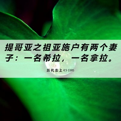 Picture 06 - 历 代 志 上 4:5 CUVS - 提 哥 亚 之 祖 亚 施 户 有 两 个 妻 - Bible Verse Picture