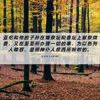 Picture 06 - 历 代 志 上 6:49 CUVS - 亚 伦 和 他 的 子 孙 在 燔 祭 坛 和 - Bible Verse Picture