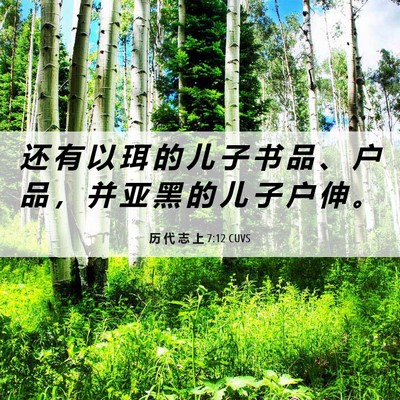 Picture 06 - 历 代 志 上 7:12 CUVS - 还 有 以 珥 的 儿 子 书 品 、 户 品 - Bible Verse Picture