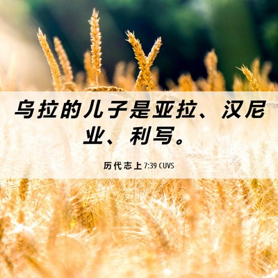 Picture 06 - 历 代 志 上 7:39 CUVS - 乌 拉 的 儿 子 是 亚 拉 、 汉 尼 业 - Bible Verse Picture
