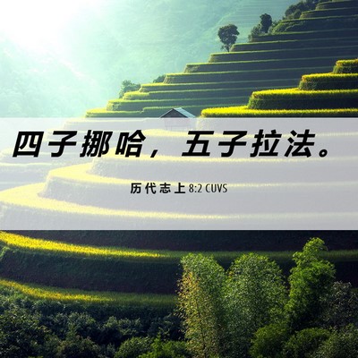 Picture 06 - 历 代 志 上 8:2 CUVS - 四 子 挪 哈 ， 五 子 拉 法 - Bible Verse Picture