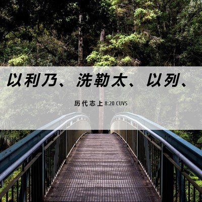 Picture 06 - 历 代 志 上 8:20 CUVS - 以 利 乃 、 洗 勒 太 、 以 列 - Bible Verse Picture