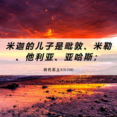 Picture 06 - 历 代 志 上 8:35 CUVS - 米 迦 的 儿 子 是 毗 敦 、 米 勒 、 - Bible Verse Picture