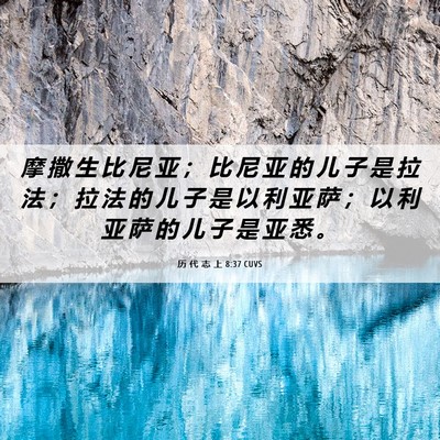 Picture 06 - 历 代 志 上 8:37 CUVS - 摩 撒 生 比 尼 亚 ； 比 尼 亚 的 儿 - Bible Verse Picture