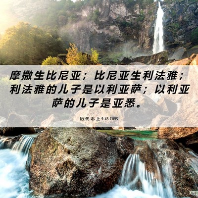 Picture 06 - 历 代 志 上 9:43 CUVS - 摩 撒 生 比 尼 亚 ； 比 尼 亚 生 利 - Bible Verse Picture