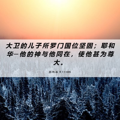 Picture 06 - 历 代 志 下 1:1 CUVS - 大 卫 的 儿 子 所 罗 门 国 位 坚 固 - Bible Verse Picture