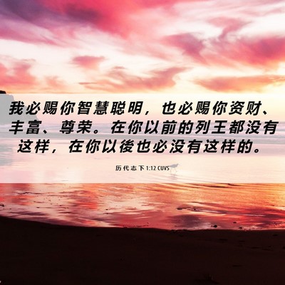Picture 06 - 历 代 志 下 1:12 CUVS - 我 必 赐 你 智 慧 聪 明 ， 也 必 赐 - Bible Verse Picture
