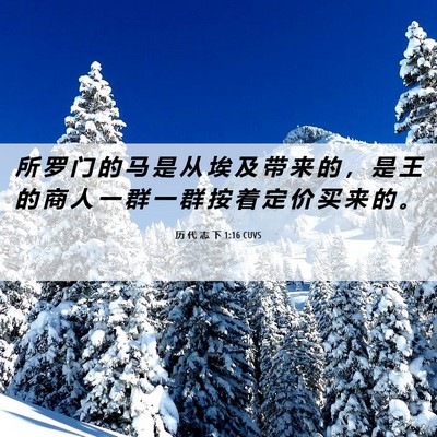 Picture 06 - 历 代 志 下 1:16 CUVS - 所 罗 门 的 马 是 从 埃 及 带 来 的 - Bible Verse Picture