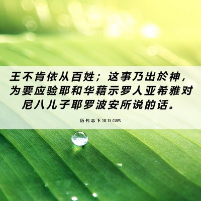 Picture 06 - 历 代 志 下 10:15 CUVS - 王 不 肯 依 从 百 姓 ； 这 事 乃 出 - Bible Verse Picture
