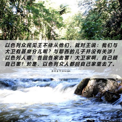 Picture 06 - 历 代 志 下 10:16 CUVS - 以 色 列 众 民 见 王 不 依 从 他 们 - Bible Verse Picture