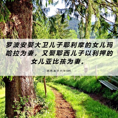 Picture 06 - 历 代 志 下 11:18 CUVS - 罗 波 安 娶 大 卫 儿 子 耶 利 摩 的 - Bible Verse Picture