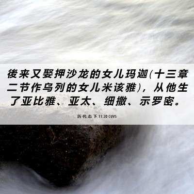 Picture 06 - 历 代 志 下 11:20 CUVS - 後 来 又 娶 押 沙 龙 的 女 儿 玛 迦 ( - Bible Verse Picture
