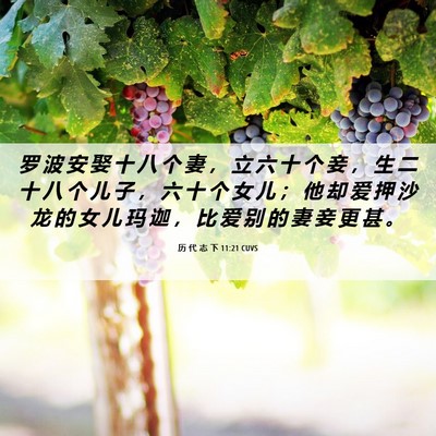 Picture 06 - 历 代 志 下 11:21 CUVS - 罗 波 安 娶 十 八 个 妻 ， 立 六 十 - Bible Verse Picture