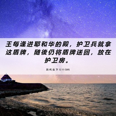 Picture 06 - 历 代 志 下 12:11 CUVS - 王 每 逢 进 耶 和 华 的 殿 ， 护 卫 - Bible Verse Picture