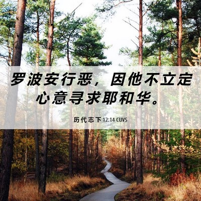 Picture 06 - 历 代 志 下 12:14 CUVS - 罗 波 安 行 恶 ， 因 他 不 立 定 心 - Bible Verse Picture