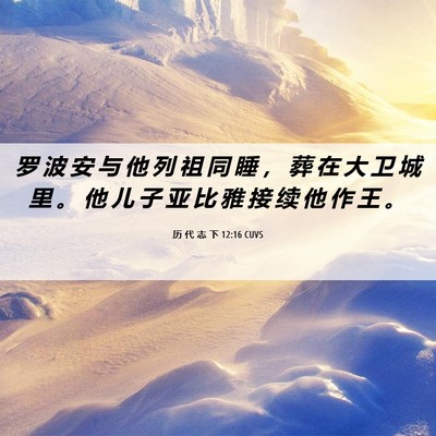 Picture 06 - 历 代 志 下 12:16 CUVS - 罗 波 安 与 他 列 祖 同 睡 ， 葬 在 - Bible Verse Picture