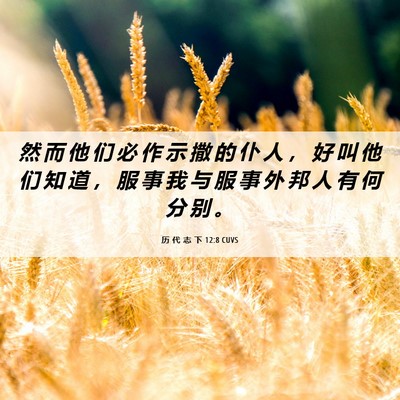 Picture 06 - 历 代 志 下 12:8 CUVS - 然 而 他 们 必 作 示 撒 的 仆 人 ， - Bible Verse Picture