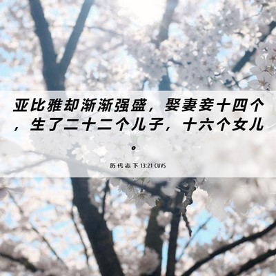 Picture 06 - 历 代 志 下 13:21 CUVS - 亚 比 雅 却 渐 渐 强 盛 ， 娶 妻 妾 - Bible Verse Picture