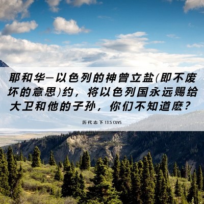 Picture 06 - 历 代 志 下 13:5 CUVS - 耶 和 华 ─ 以 色 列 的 神 曾 立 盐 ( - Bible Verse Picture