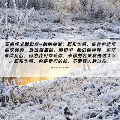 Picture 06 - 历 代 志 下 14:11 CUVS - 亚 撒 呼 求 耶 和 华 ─ 他 的 神 说 - Bible Verse Picture