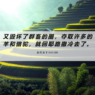 Picture 06 - 历 代 志 下 14:15 CUVS - 又 毁 坏 了 群 畜 的 圈 ， 夺 取 许 - Bible Verse Picture