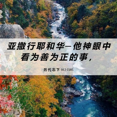 Picture 06 - 历 代 志 下 14:2 CUVS - 亚 撒 行 耶 和 华 ─ 他 神 眼 中 看 - Bible Verse Picture