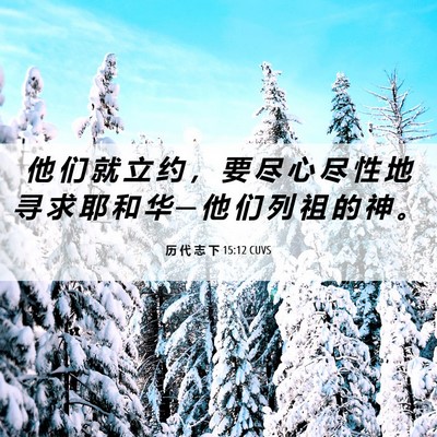 Picture 06 - 历 代 志 下 15:12 CUVS - 他 们 就 立 约 ， 要 尽 心 尽 性 地 - Bible Verse Picture