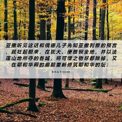 Picture 06 - 历 代 志 下 15:8 CUVS - 亚 撒 听 见 这 话 和 俄 德 儿 子 先 - Bible Verse Picture