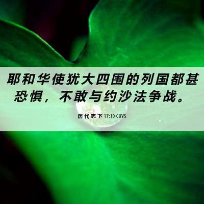 Picture 06 - 历 代 志 下 17:10 CUVS - 耶 和 华 使 犹 大 四 围 的 列 国 都 - Bible Verse Picture