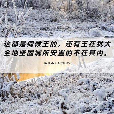 Picture 06 - 历 代 志 下 17:19 CUVS - 这 都 是 伺 候 王 的 ， 还 有 王 在 - Bible Verse Picture
