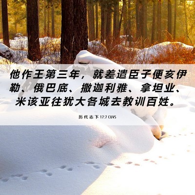 Picture 06 - 历 代 志 下 17:7 CUVS - 他 作 王 第 三 年 ， 就 差 遣 臣 子 - Bible Verse Picture