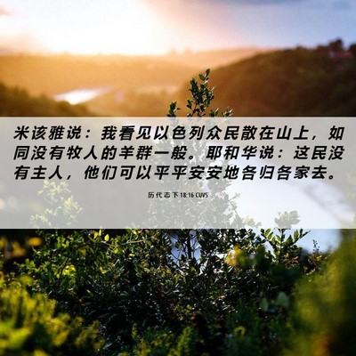 Picture 06 - 历 代 志 下 18:16 CUVS - 米 该 雅 说 ： 我 看 见 以 色 列 众 - Bible Verse Picture