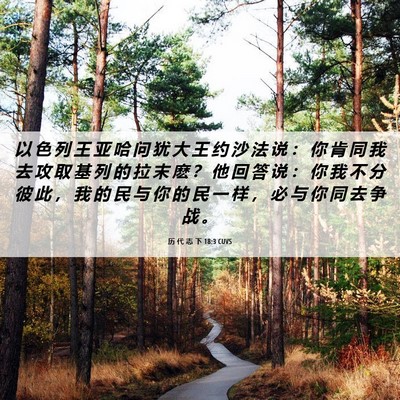 Picture 06 - 历 代 志 下 18:3 CUVS - 以 色 列 王 亚 哈 问 犹 大 王 约 沙 - Bible Verse Picture