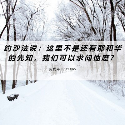 Picture 06 - 历 代 志 下 18:6 CUVS - 约 沙 法 说 ： 这 里 不 是 还 有 耶 - Bible Verse Picture