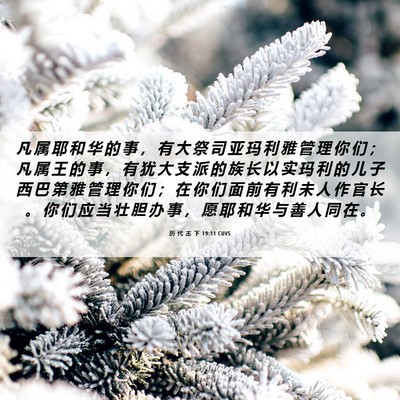 Picture 06 - 历 代 志 下 19:11 CUVS - 凡 属 耶 和 华 的 事 ， 有 大 祭 司 - Bible Verse Picture