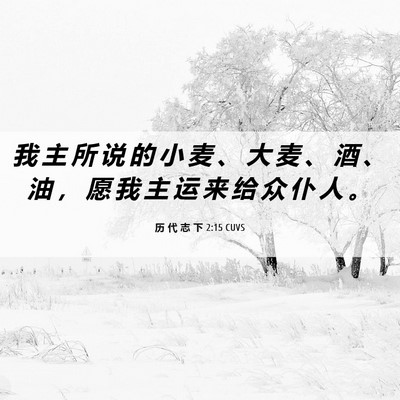 Picture 06 - 历 代 志 下 2:15 CUVS - 我 主 所 说 的 小 麦 、 大 麦 、 酒 - Bible Verse Picture