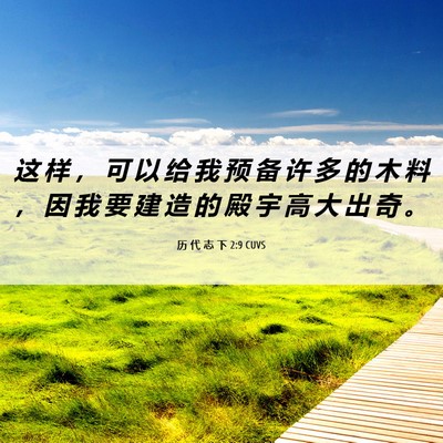 Picture 06 - 历 代 志 下 2:9 CUVS - 这 样 ， 可 以 给 我 预 备 许 多 的 - Bible Verse Picture