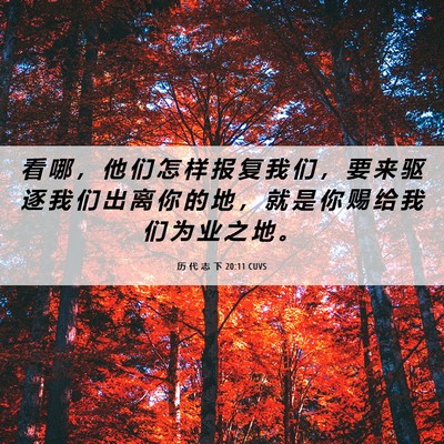 Picture 06 - 历 代 志 下 20:11 CUVS - 看 哪 ， 他 们 怎 样 报 复 我 们 ， - Bible Verse Picture