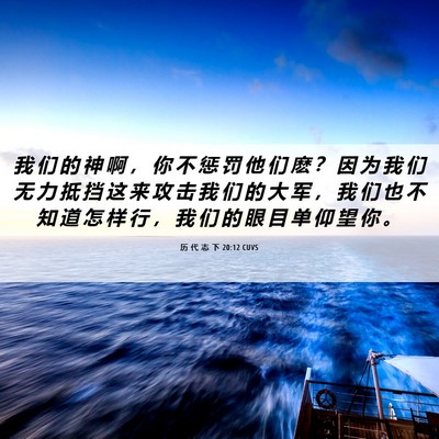 Picture 06 - 历 代 志 下 20:12 CUVS - 我 们 的 神 啊 ， 你 不 惩 罚 他 们 - Bible Verse Picture