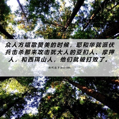 Picture 06 - 历 代 志 下 20:22 CUVS - 众 人 方 唱 歌 赞 美 的 时 候 ， 耶 - Bible Verse Picture