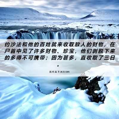 Picture 06 - 历 代 志 下 20:25 CUVS - 约 沙 法 和 他 的 百 姓 就 来 收 取 - Bible Verse Picture