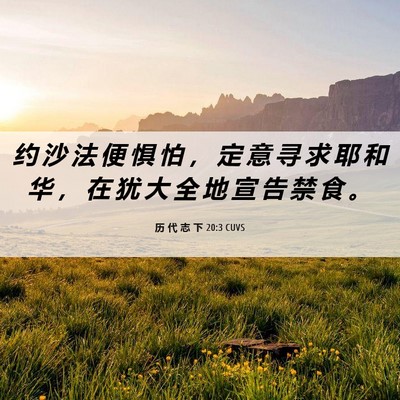Picture 06 - 历 代 志 下 20:3 CUVS - 约 沙 法 便 惧 怕 ， 定 意 寻 求 耶 - Bible Verse Picture