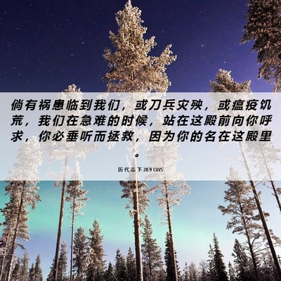 Picture 06 - 历 代 志 下 20:9 CUVS - 倘 有 祸 患 临 到 我 们 ， 或 刀 兵 - Bible Verse Picture
