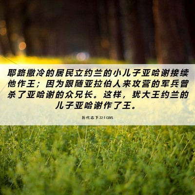 Picture 06 - 历 代 志 下 22:1 CUVS - 耶 路 撒 冷 的 居 民 立 约 兰 的 小 - Bible Verse Picture