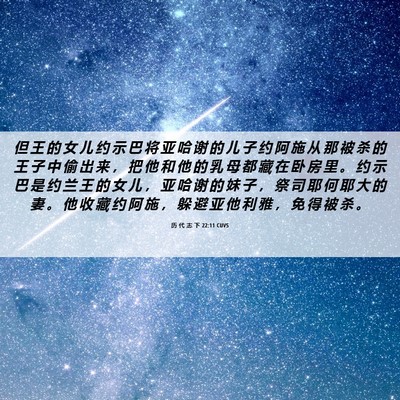 Picture 06 - 历 代 志 下 22:11 CUVS - 但 王 的 女 儿 约 示 巴 将 亚 哈 谢 - Bible Verse Picture