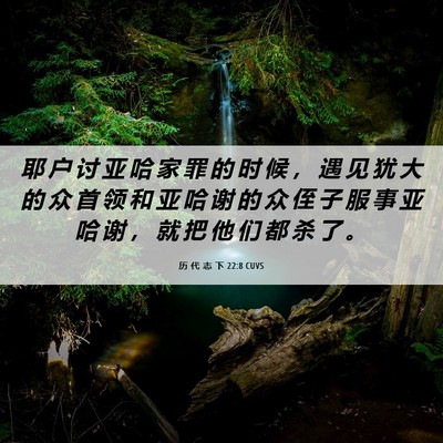 Picture 06 - 历 代 志 下 22:8 CUVS - 耶 户 讨 亚 哈 家 罪 的 时 候 ， 遇 - Bible Verse Picture