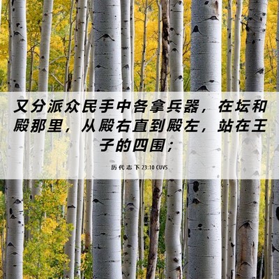 Picture 06 - 历 代 志 下 23:10 CUVS - 又 分 派 众 民 手 中 各 拿 兵 器 ， - Bible Verse Picture