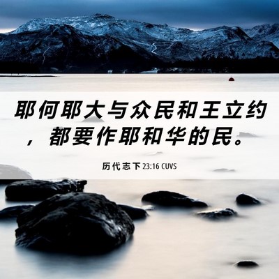 Picture 06 - 历 代 志 下 23:16 CUVS - 耶 何 耶 大 与 众 民 和 王 立 约 ， - Bible Verse Picture