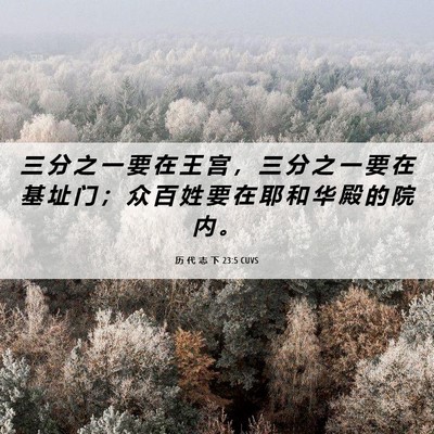Picture 06 - 历 代 志 下 23:5 CUVS - 三 分 之 一 要 在 王 宫 ， 三 分 之 - Bible Verse Picture