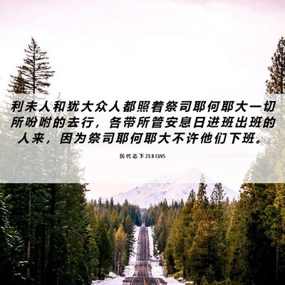 Picture 06 - 历 代 志 下 23:8 CUVS - 利 未 人 和 犹 大 众 人 都 照 着 祭 - Bible Verse Picture